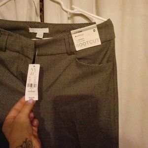 Bootcut ny&c 7th ave pants
